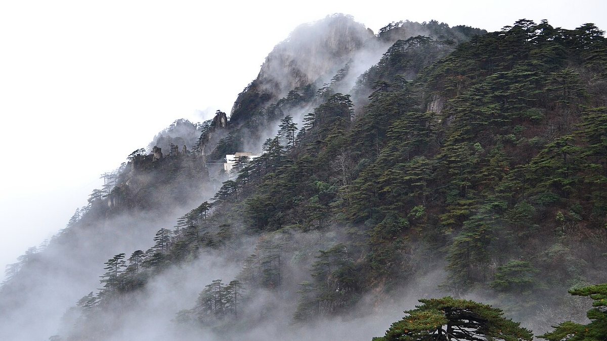 黄山云雾山景真实照片