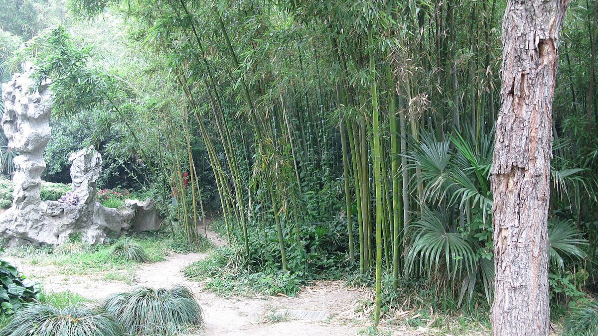 扬州瘦西湖真实景观